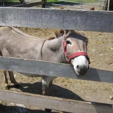 Bleiche By Interhome