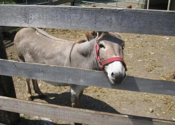 Bleiche By Interhome