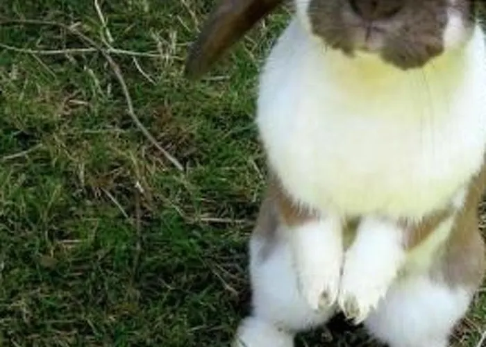 Bleiche By Interhome Appartamento *